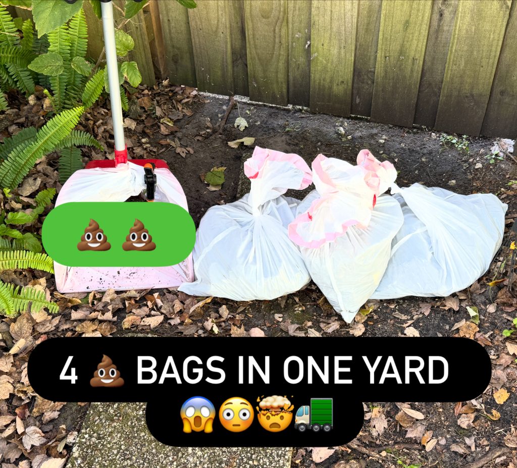 422D5EAF-A0BB-47A6-B97D-743A1D6D2A80